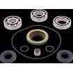 Set rulmenți/simeringuri pentru diferențial față CANAM MSE MOOSE RACING 25-2154 Set rulmenți/simeringuri pentru diferențial față CANAM MSE MOOSE RACING 25-2154 thumb