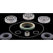 Set rulmenți/simeringuri pentru diferențial față CANAM MSE MOOSE RACING 25-2154 Set rulmenți/simeringuri pentru diferențial față CANAM MSE MOOSE RACING 25-2154 thumb
