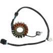 Stator MOOSE RACING M-21-808H Stator MOOSE RACING M-21-808H thumb