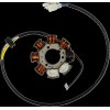 Stator MSE RAC HON MOOSE RACING M-21-638H