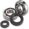 Set rulmenți/simeringuri pentru arbore cotit HONDA MOOSE RACING 24-1002