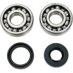 Set rulmenți/etansări pentru arbore cotit KAWASAKI MOOSE RACING 24-1008 Set rulmenți/etansări pentru arbore cotit KAWASAKI MOOSE RACING 24-1008 thumb
