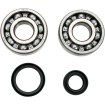Set rulmenți/etansări pentru arbore cotit SUZUKI MOOSE RACING 24-1016 Set rulmenți/etansări pentru arbore cotit SUZUKI MOOSE RACING 24-1016 thumb