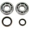 Set rulmenți/simeringuri pentru vilbrochen SUZUKI MOOSE RACING 24-1021