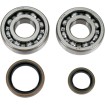 Set rulmenți/simeringuri pentru vilbrochen SUZUKI MOOSE RACING 24-1021 Set rulmenți/simeringuri pentru vilbrochen SUZUKI MOOSE RACING 24-1021 thumb