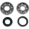 Set rulmenți/etansări pentru arbore cotit YAMAHA MOOSE RACING 24-1024