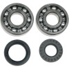 Set rulmenți/simeringuri pentru arbore cotit YAMAHA MOOSE RACING 24-1025