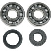 Set rulmenți/simeringuri pentru arbore cotit YAMAHA MOOSE RACING 24-1025 Set rulmenți/simeringuri pentru arbore cotit YAMAHA MOOSE RACING 24-1025 thumb