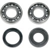 Set rulmenți/simeringuri pentru arbore cotit YAMAHA MOOSE RACING 24-1026
