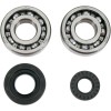 Set rulmenți/etansări pentru arbore cotit YAMAHA MOOSE RACING 24-1029