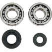 Set rulmenți/etansări pentru arbore cotit YAMAHA MOOSE RACING 24-1029 Set rulmenți/etansări pentru arbore cotit YAMAHA MOOSE RACING 24-1029 thumb
