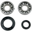 Set rulmenți/simeringuri pentru arbore cotit YAMAHA MOOSE RACING 24-1034 Set rulmenți/simeringuri pentru arbore cotit YAMAHA MOOSE RACING 24-1034 thumb