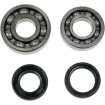 Set rulmenți/etansări pentru arbore cotit YAMAHA MOOSE RACING 24-1043 Set rulmenți/etansări pentru arbore cotit YAMAHA MOOSE RACING 24-1043 thumb