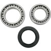 Set rulmenți pentru roată MOOSE RACING 25-1010