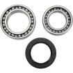Set rulmenți pentru roată MOOSE RACING 25-1010 Set rulmenți pentru roată MOOSE RACING 25-1010 thumb