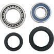 Set rulmenți pentru roată MOOSE RACING 25-1015 Set rulmenți pentru roată MOOSE RACING 25-1015 thumb