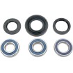 Set rulmenți pentru roată MOOSE RACING 25-1037 Set rulmenți pentru roată MOOSE RACING 25-1037 thumb