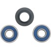 Set rulment și etanșare roată MOOSE RACING 25-1040 Set rulment și etanșare roată MOOSE RACING 25-1040 thumb