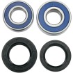 Set rulmenți pentru roată MOOSE RACING 25-1113 Set rulmenți pentru roată MOOSE RACING 25-1113 thumb