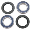 Set rulmenți pentru roată MOOSE RACING 25-1122 Set rulmenți pentru roată MOOSE RACING 25-1122 thumb