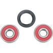 Set rulmenți pentru roată MOOSE RACING 25-1323 Set rulmenți pentru roată MOOSE RACING 25-1323 thumb