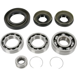Set rulmenți și garnituri pentru diferențial MOOSE RACING 25-2001