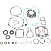 Set garnituri cu etanșări de ulei offroad MOOSE RACING 811423MSE Set garnituri cu etanșări de ulei offroad MOOSE RACING 811423MSE thumb