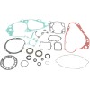 Set garnituri cu etanșări de ulei SUZUKI MOOSE RACING 811578MSE
