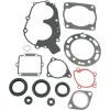 Set garnituri cu etanșări de ulei ATV-UTV MOOSE RACING 811808MSE