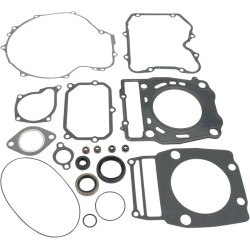 Set garnituri cu etanșări de ulei ATV-UTV MOOSE RACING 811821MSE Set garnituri cu etanșări de ulei ATV-UTV MOOSE RACING 811821MSE