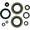 Set de semeringuri MOOSE RACING 822104MSE Set de semeringuri MOOSE RACING 822104MSE thumb
