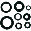 Set de semeringuri MOOSE RACING 822106MSE Set de semeringuri MOOSE RACING 822106MSE thumb