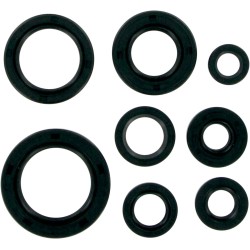 Set de semeringuri MOOSE RACING 822106MSE Set de semeringuri MOOSE RACING 822106MSE