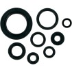 Set de simeringuri MOOSE RACING 822110MSE Set de simeringuri MOOSE RACING 822110MSE thumb