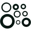 Set de semeringuri MOOSE RACING 822111MSE Set de semeringuri MOOSE RACING 822111MSE thumb