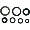 Set de semeringuri MOOSE RACING 822124MSE