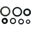 Set de semeringuri MOOSE RACING 822124MSE Set de semeringuri MOOSE RACING 822124MSE thumb