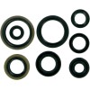 Set de simeringuri MOOSE RACING 822125MSE