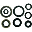 Set de simeringuri MOOSE RACING 822125MSE Set de simeringuri MOOSE RACING 822125MSE thumb