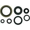 Set de semeringuri MOOSE RACING 822126MSE