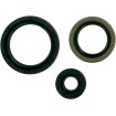 Set de simeringuri MOOSE RACING 822143MSE Set de simeringuri MOOSE RACING 822143MSE thumb