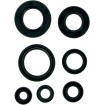 Set de semeringuri MOOSE RACING 822153MSE Set de semeringuri MOOSE RACING 822153MSE thumb