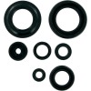 Set de semeringuri MOOSE RACING 822154MSE