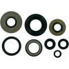 Set de semeringuri MOOSE RACING 822155MSE