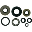Set de semeringuri MOOSE RACING 822155MSE Set de semeringuri MOOSE RACING 822155MSE thumb