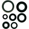 Set de simeringuri MOOSE RACING 822176MSE