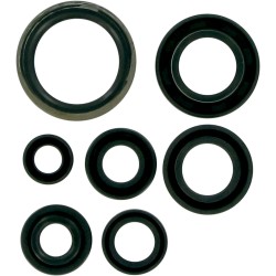 Set de simeringuri MOOSE RACING 822176MSE