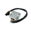 Regulator BMW F ALTELE 02585-0P Regulator BMW F ALTELE 02585-0P thumb