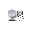 Set piston 250cc ALTELE NK700.10
