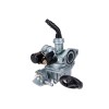 Carburator PZ19 ALTELE NK201.32